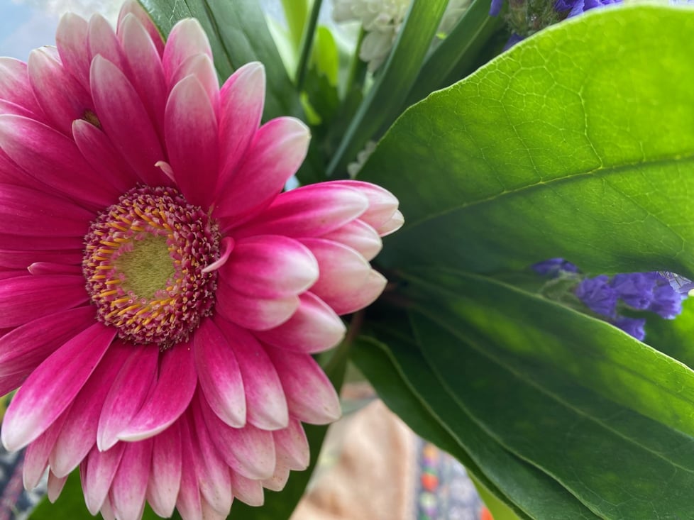 Heather Arts and Crafts