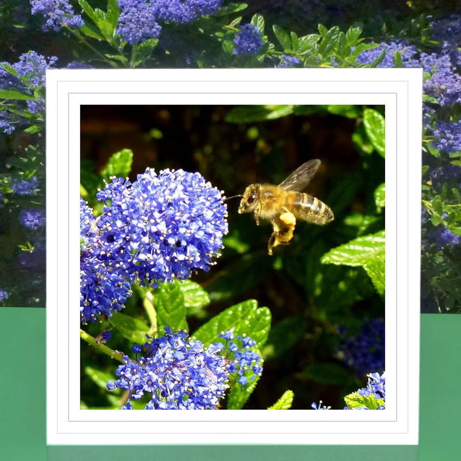 ‘Bee kind to...’ single greeting card