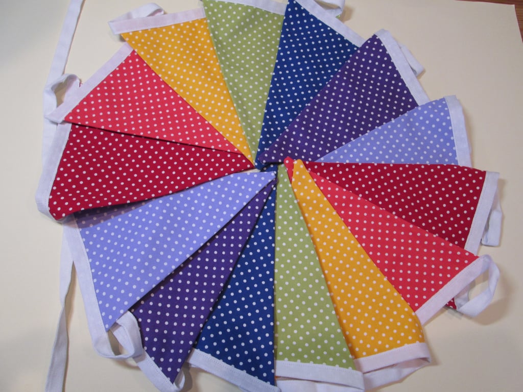 Rainbow Bunting