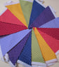 Rainbow Bunting - Image 1