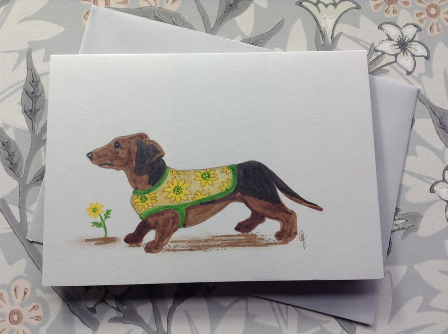  Greetings card 'Daisy Dachshund'