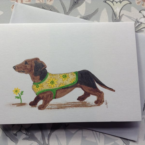  Greetings card 'Daisy Dachshund'