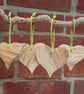 Spalted beech hearts - Image 3