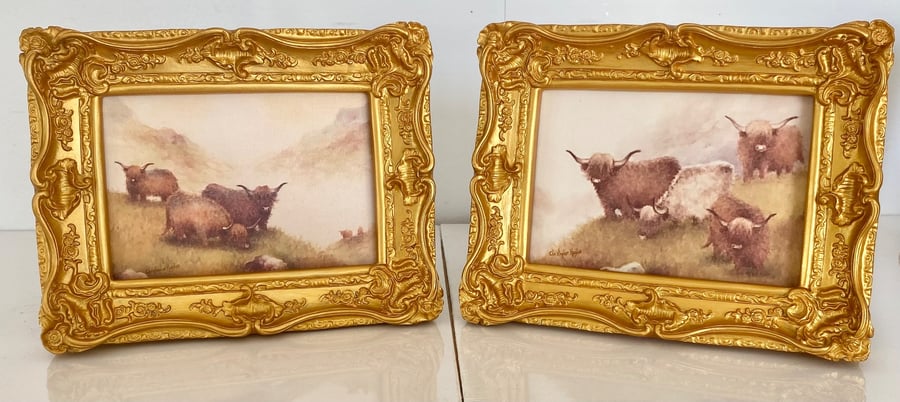Highland Cattle . Isle of Skye. Pair of framed canvas prints.