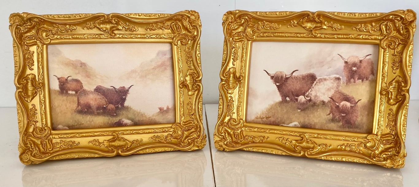 Highland Cattle . Isle of Skye. Pair of framed canvas prints.