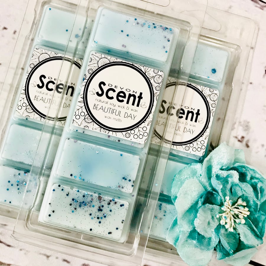 Beautiful Day Snap Bar Wax Melts 