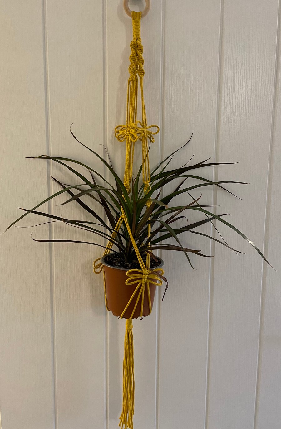 Macrame plant hanger