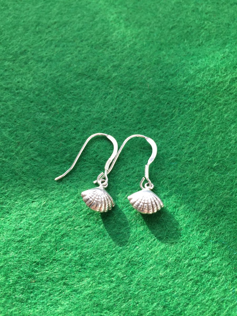Silver cockle earrings