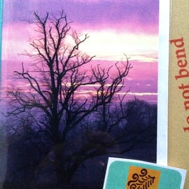 Card- Lonesome Tree at Sunrise 