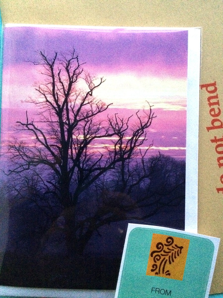 Card- Lonesome Tree at Sunrise 