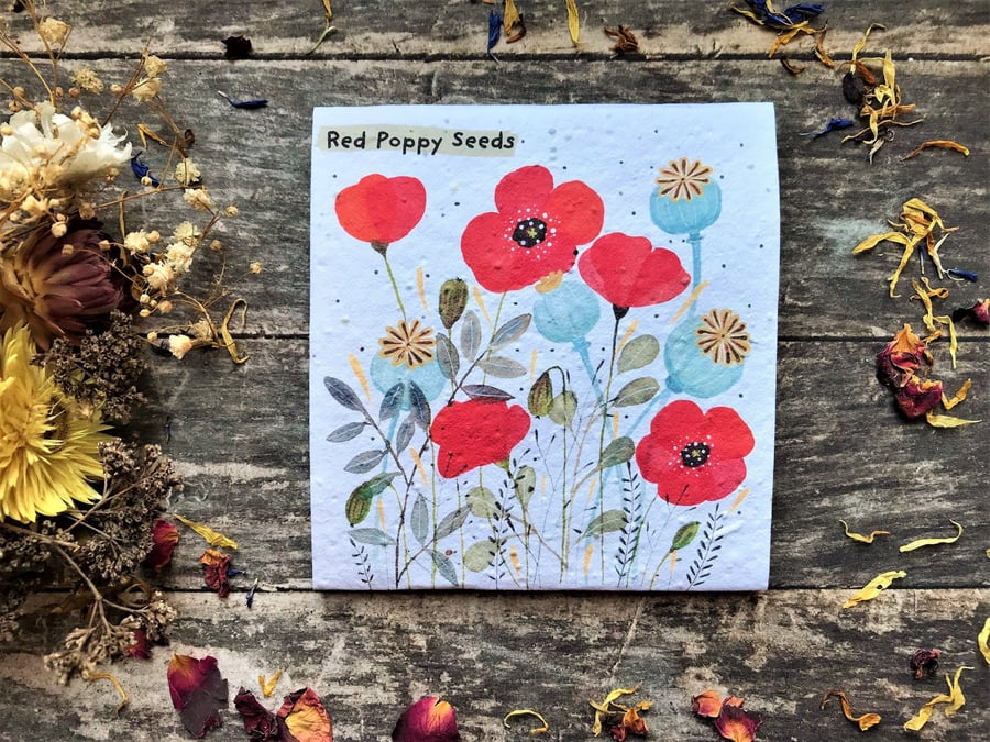 Pack of Red Poppy Seeds,Illustrated Gift,Quirky illustrated nature inspired gift