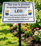 baby temporary memorial  Grave Cemetery  plaque remembrance Tree plaque Baby 
