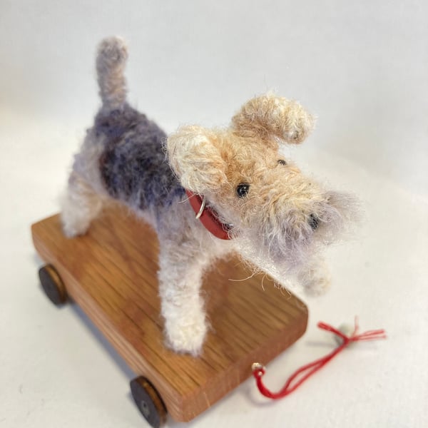 Digger the Fox Terrier