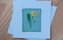 Greetings Cards