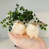 Nutcracker Scented Devon Sheep Votive Candle Pair Perfectly Imperfect