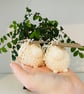 Christmas Nutcracker Sheep Candle Pair - Image 1