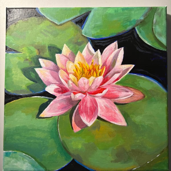 Water lotus painting