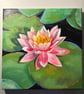 Water lotus painting