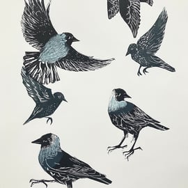 Jackdaws and Starlings - Lino Cut