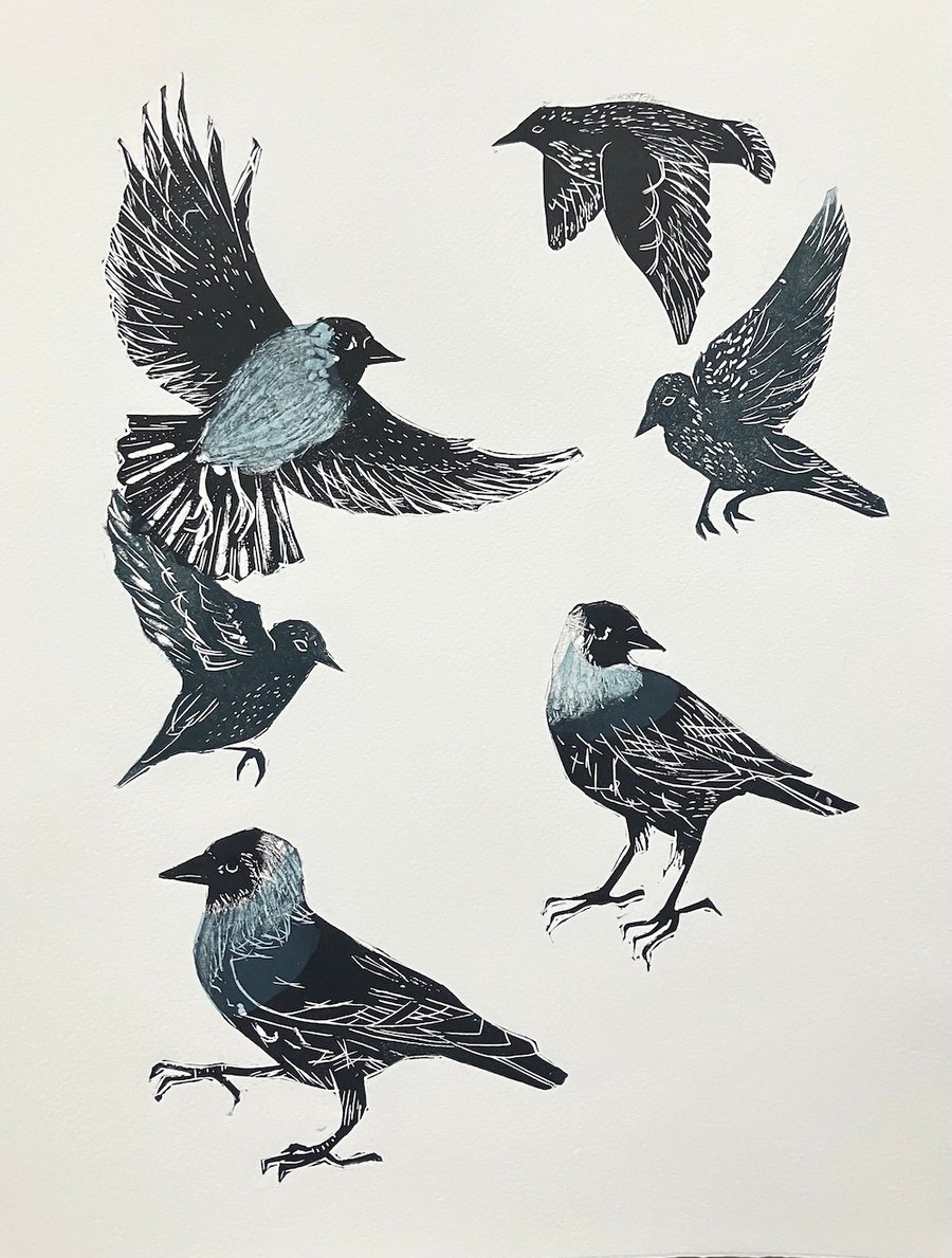 Jackdaws and Starlings - Lino Cut