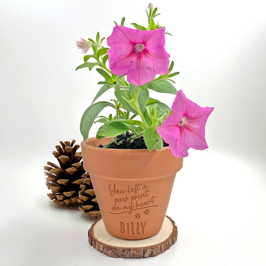 Paw Print Poem Mini Plant Pot