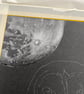 Fine Art Print of "Queen of the Night" Owl and Moon Coloured Pencil Art - Image 3