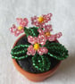 Miniature Yellow or Pink Beaded Primula  - Image 4