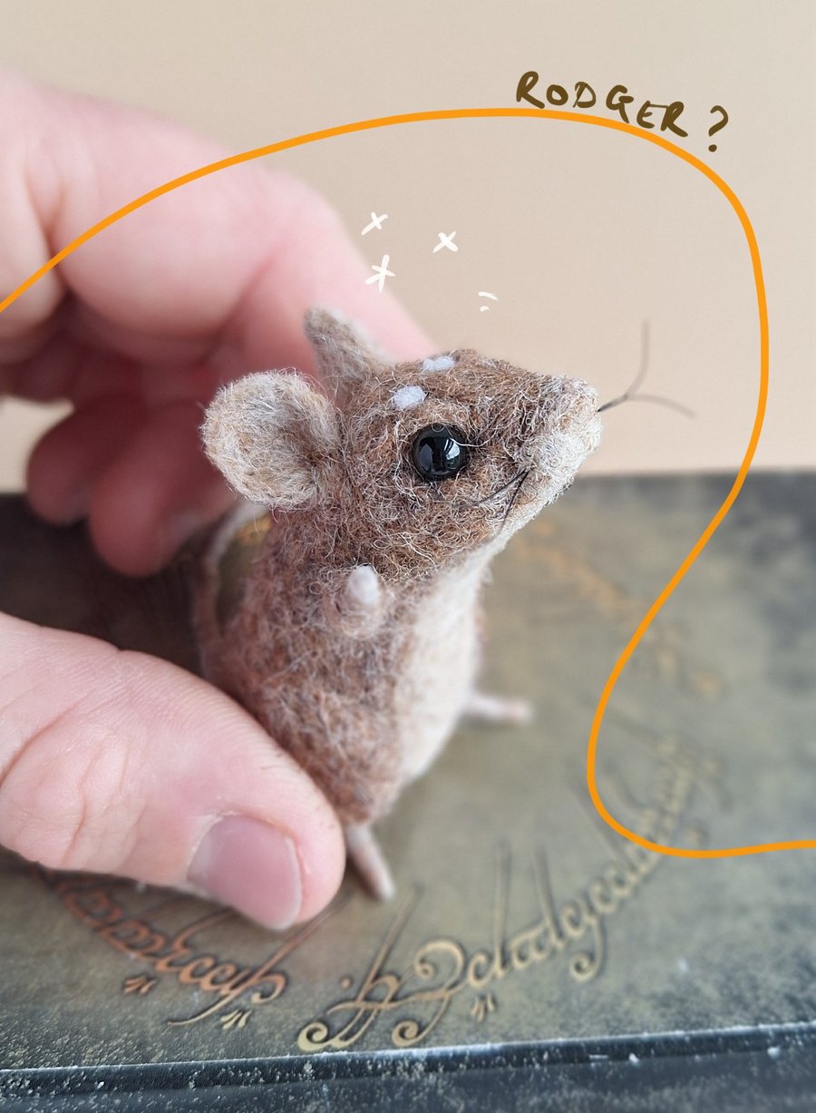 Mischief Mouse - Rodger