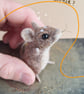 Mischief Mouse - Rodger - Image 1
