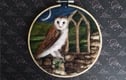 Owls