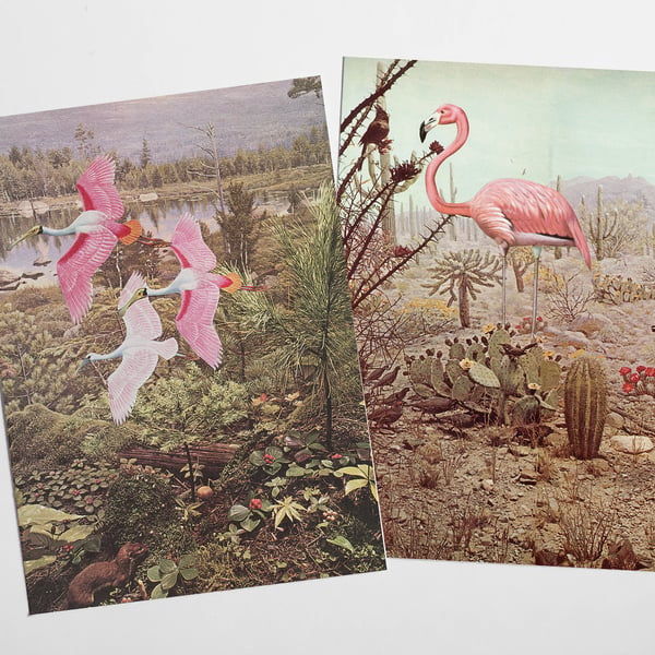 Bird Postcard Set - Wild Birds