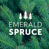 Emerald Spruce