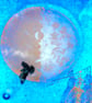 Ghost Ship Fused Glass Panel - Image 4