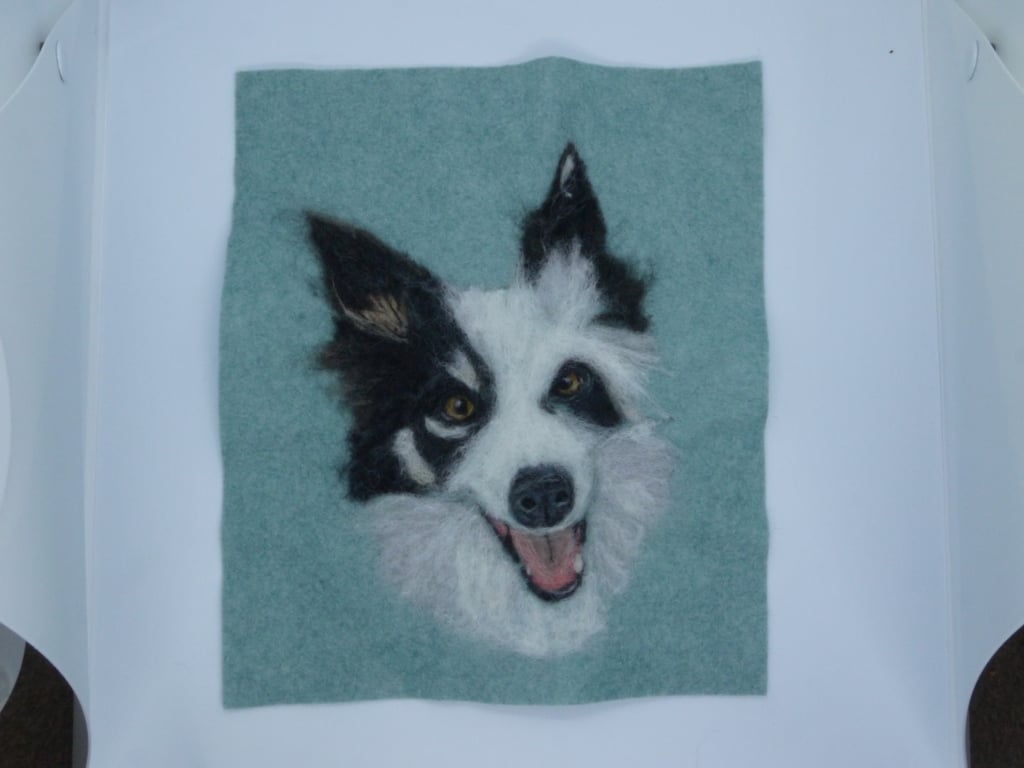 Perfectly imperfect Needle felted realistic Border Collie Portrait