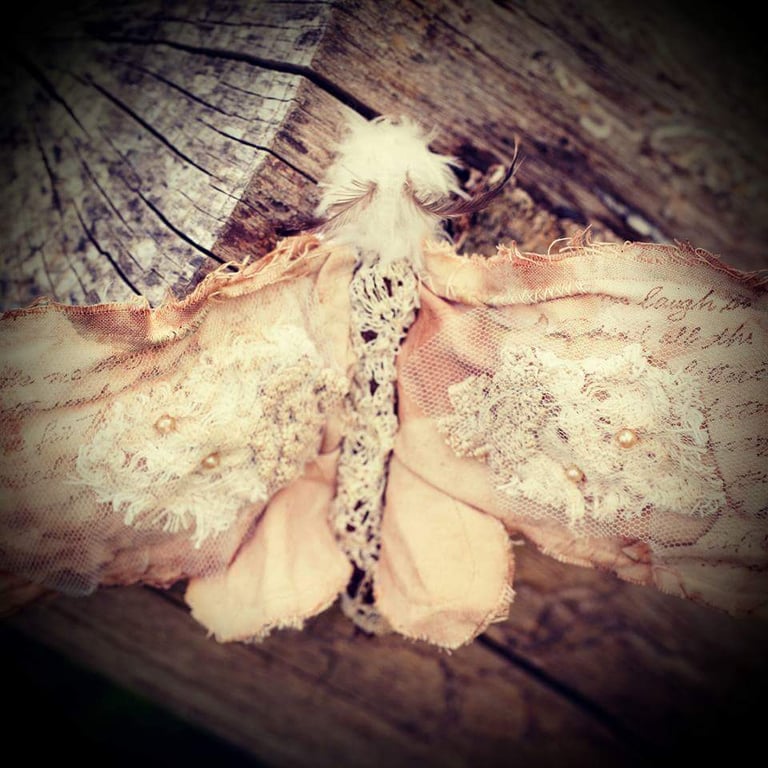 Cornish Contemporary