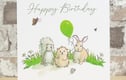 BIRTHDAY cards