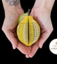 Personalised Lemon Book Gift - Image 5