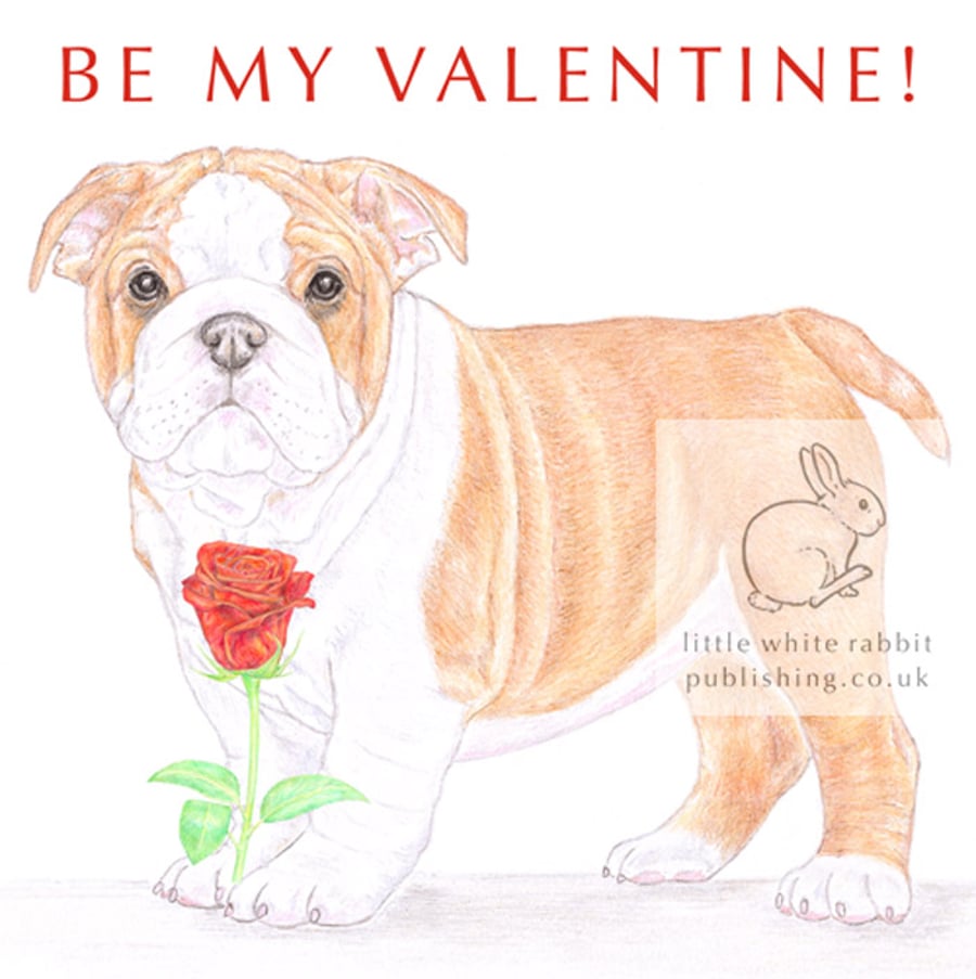 Winnie the English Bulldog - Valentine Card
