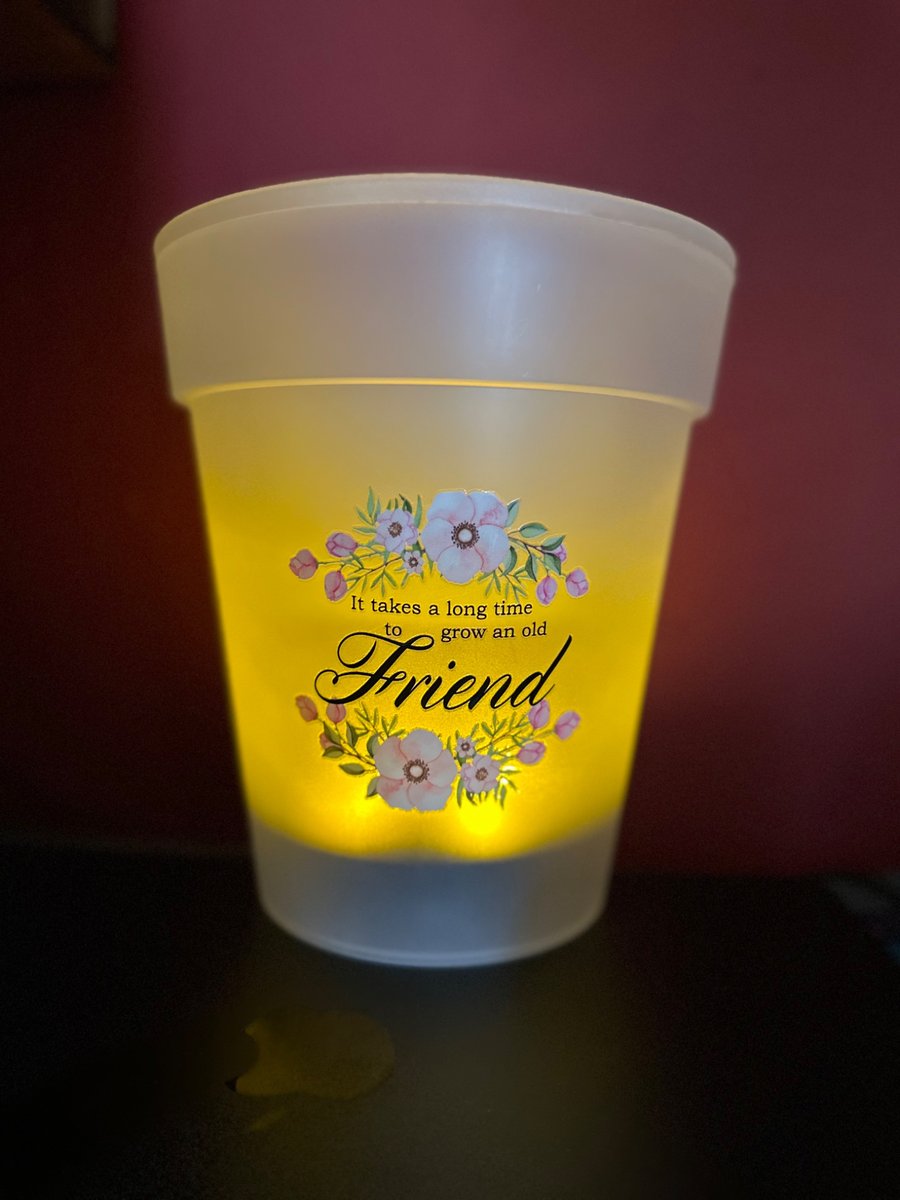 Solar Powered Plant Pot - Friend - FREE POSTAGE 