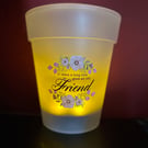 Solar Powered Plant Pot - Friend - FREE POSTAGE 