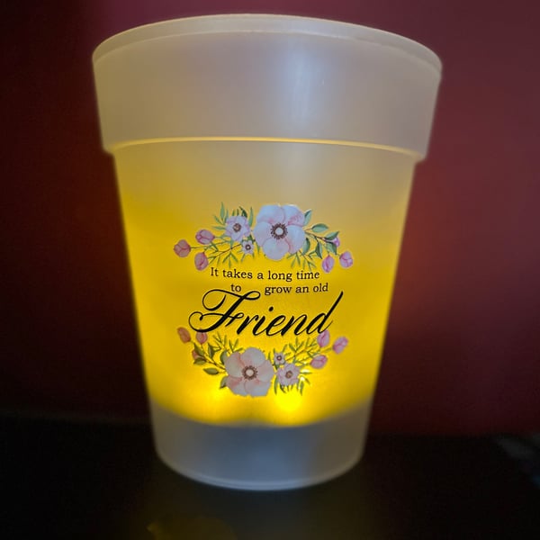 Solar Powered Plant Pot - Friend - FREE POSTAGE 