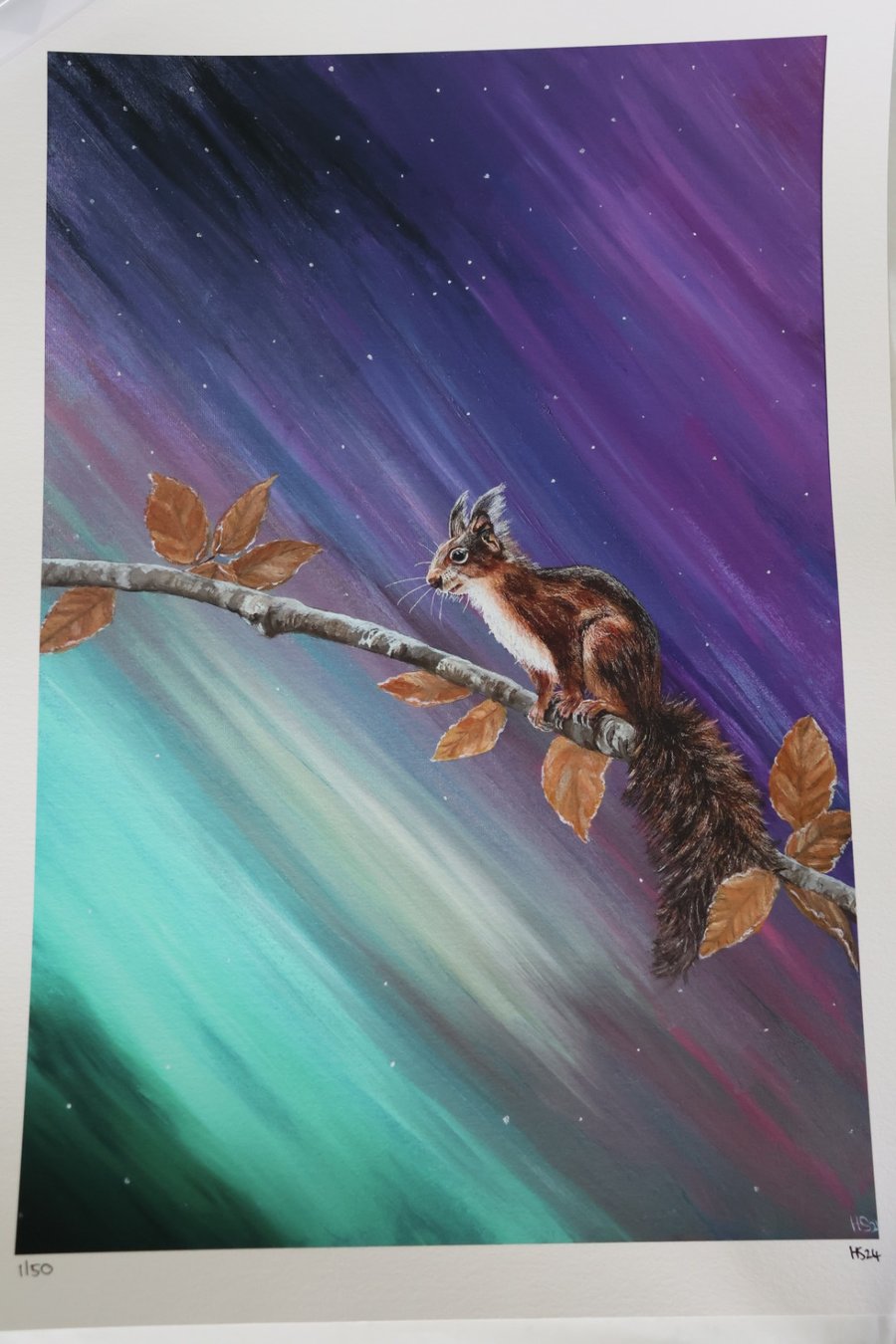 Northern Lights Red Squirrel Limited Edition Giclee Print
