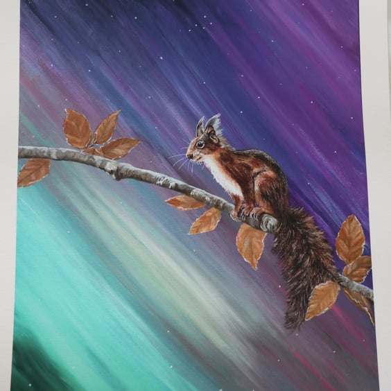 Northern Lights Red Squirrel Limited Edition Giclee Print