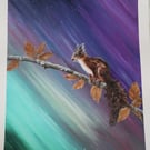 Northern Lights Red Squirrel Limited Edition Giclee Print