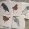 British Bird 5 x card set 