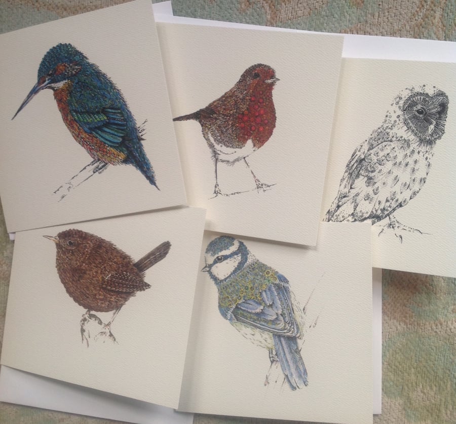 British Bird 5 x card set OFFER