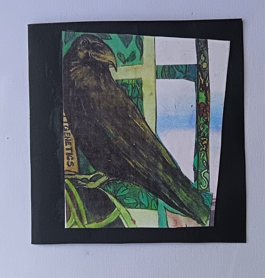 Crow sees beyond the window 