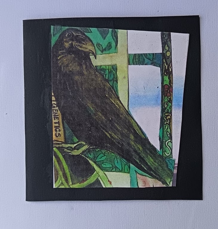 Crow sees beyond the window 