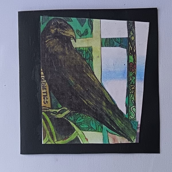 Crow sees beyond the window 