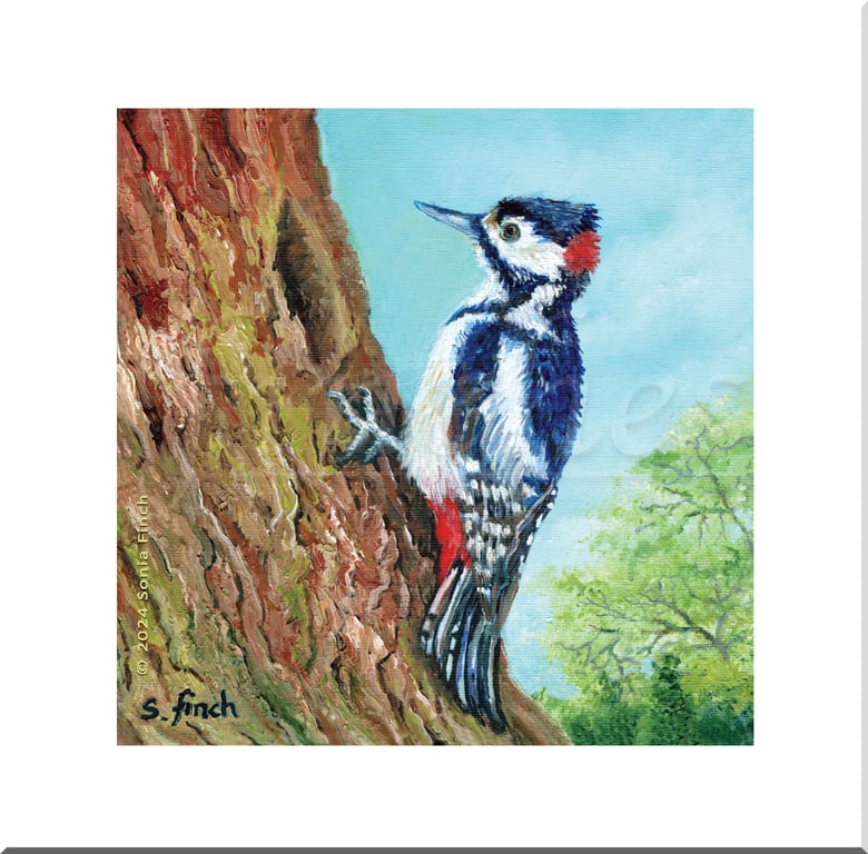 Spirit of Woodpecker - Blank Card with Nature Spirit Totem message